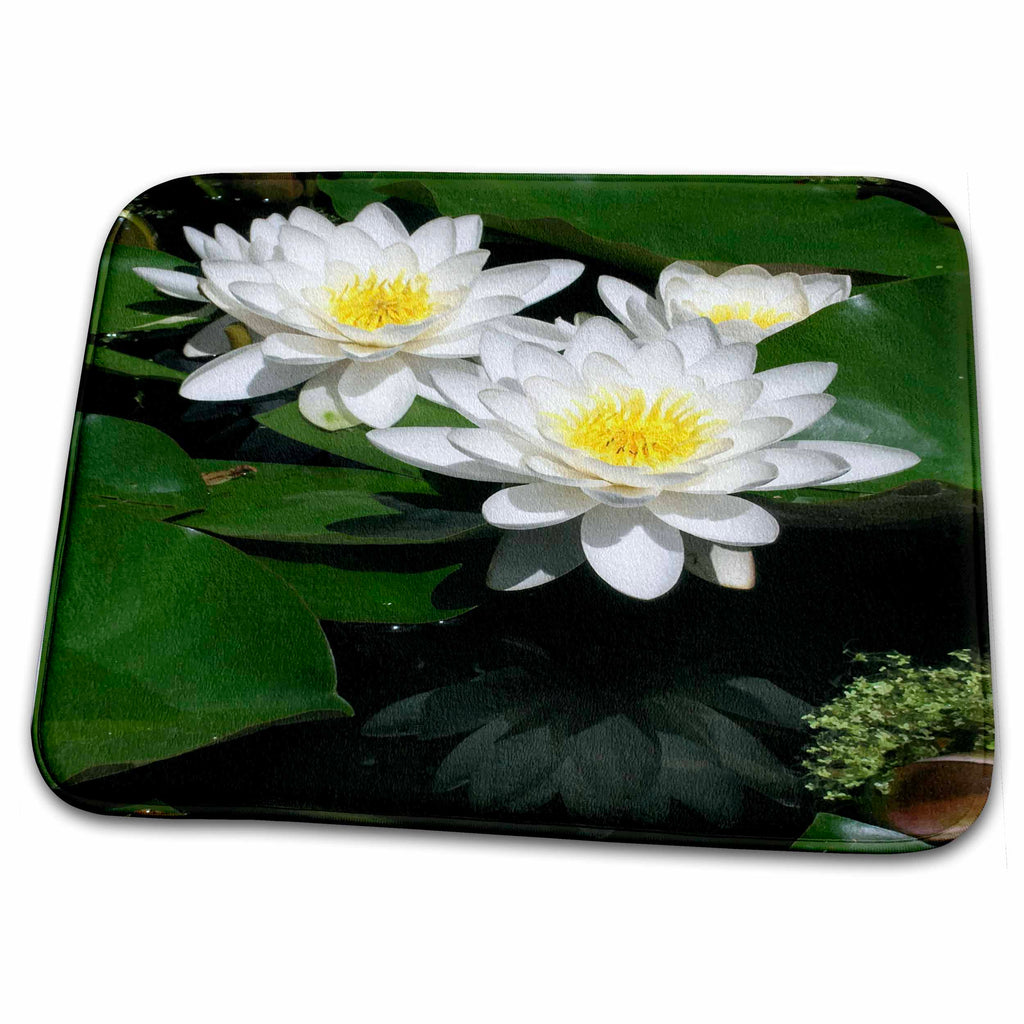3dRose DYLAN SEIBOLD - PHOTOGRAPHY - LILY POND - Dish Drying Mats (ddm-244489)