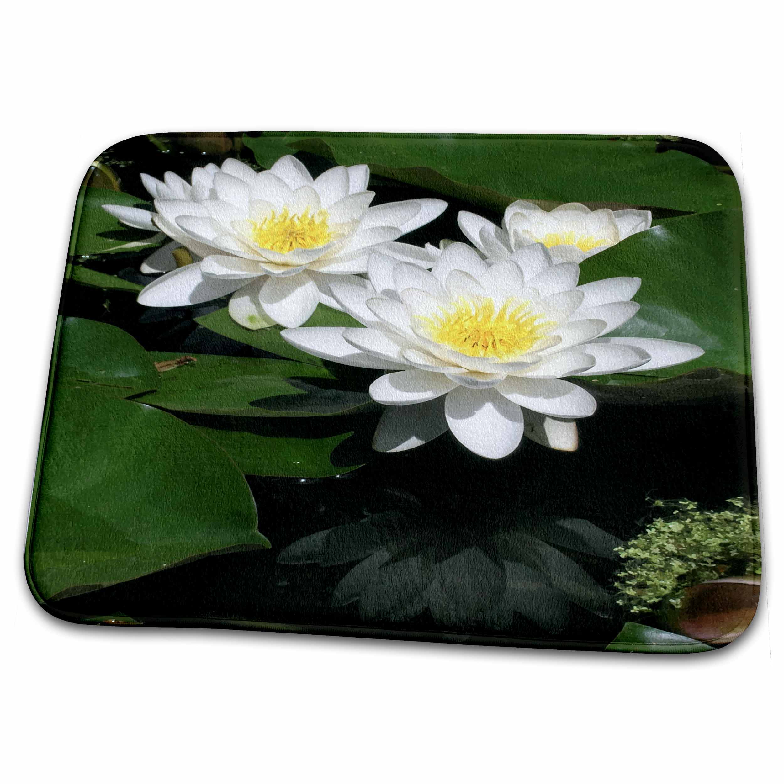 3dRose DYLAN SEIBOLD - PHOTOGRAPHY - LILY POND - Dish Drying Mats (ddm-244489)