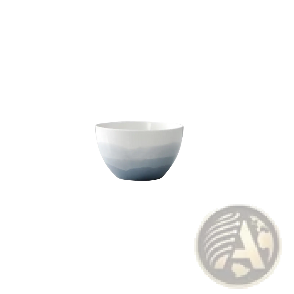 Ceramic Gradient Blue Steak Plate and Bowl Set