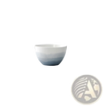 Ceramic Gradient Blue Steak Plate and Bowl Set
