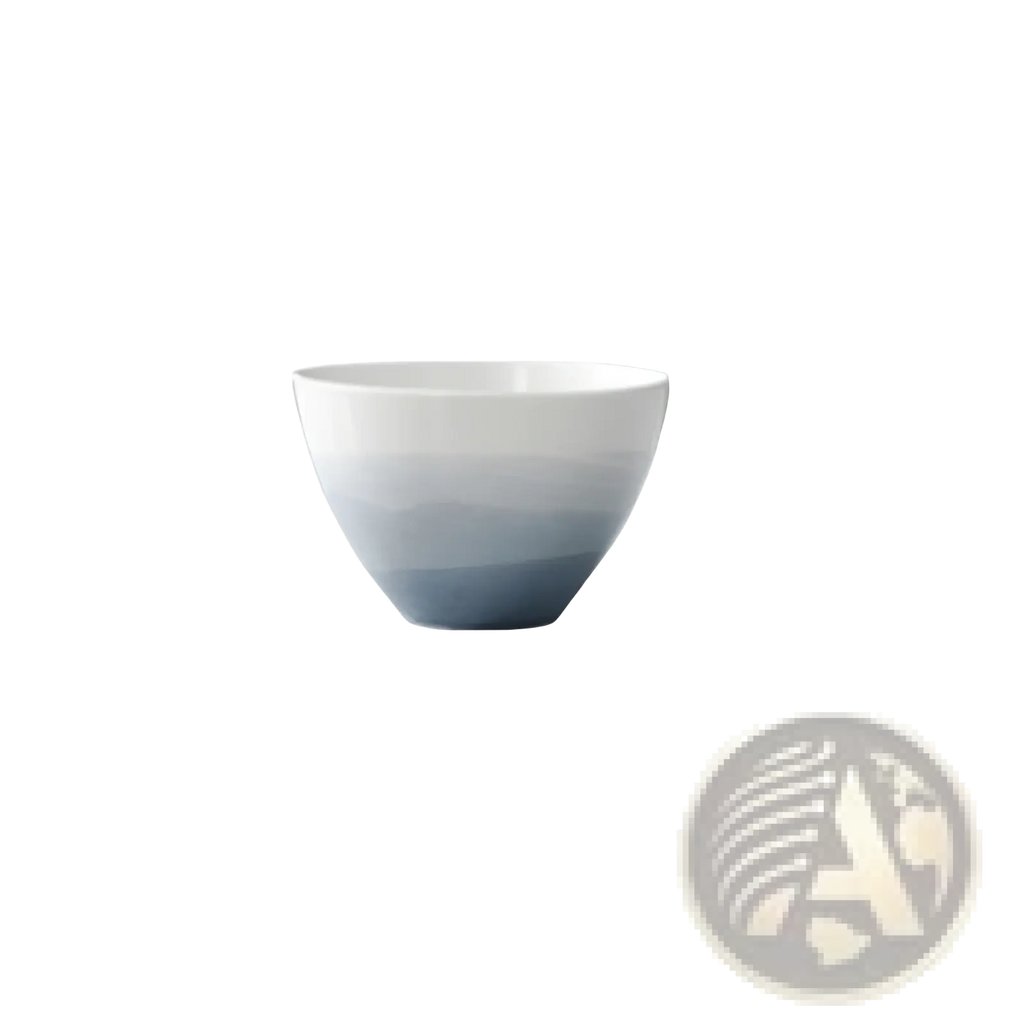 Ceramic Gradient Blue Steak Plate and Bowl Set