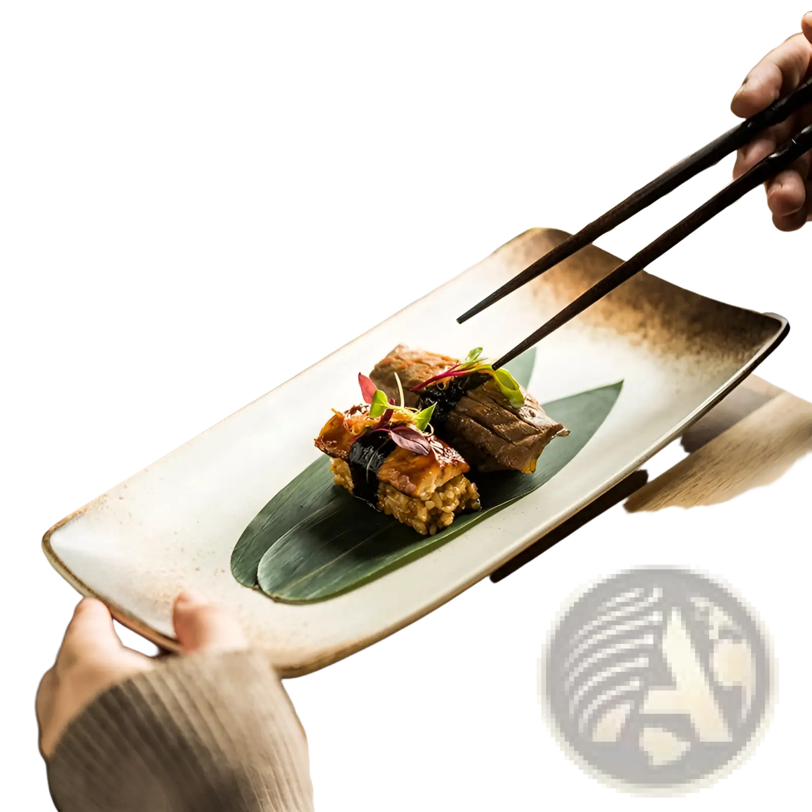 Japanese Ceramic Sushi Plates Rectangular Trays
